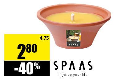 bougie_citronnelle.png