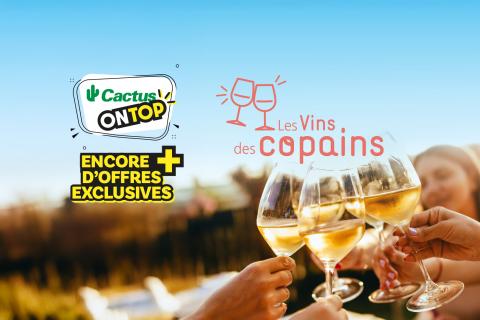 cactus_on_top_sem_35_les_vins_des_copains.jpg