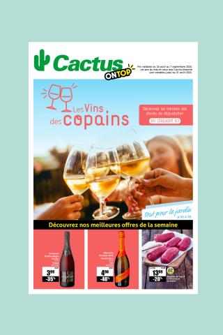 cover_cactus_digital_ontop_25_08_2025_test.jpg