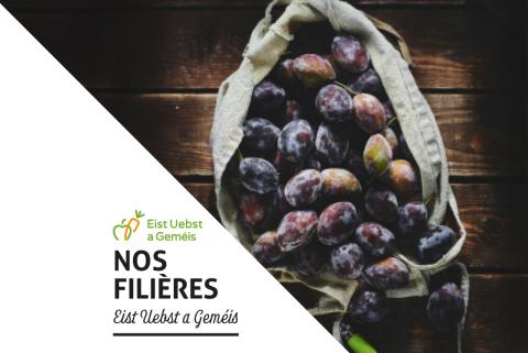 filiere_quetsches.jpg