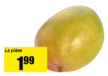 mangue.png