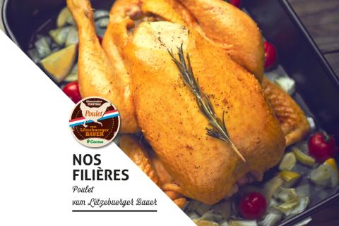 filiere_poulet.jpg