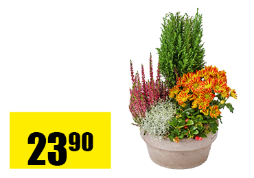 26_coupe_plantee_en_ceramique.png