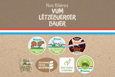 2logos_filieres_2025.jpg