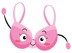soutien_gorge.png