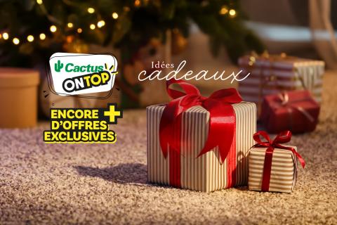 app_cactus_on_top_sem_49_idees_cadeaux.jpg