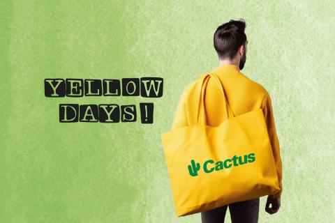 cactus_sem_05_yellow_days.jpg