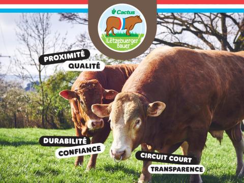letzebuerger_bauer.jpg