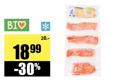 8_bio_filet_saumon.png