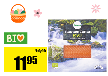8_bio_saumon.png