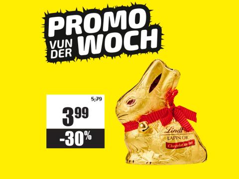 lapin_lindt.jpg