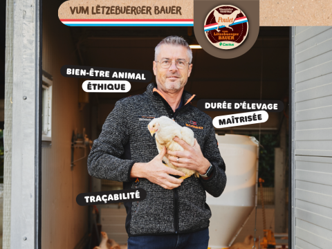 letzebuerger_bauer_poulet_v3.png