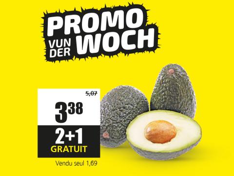 avocats.jpg