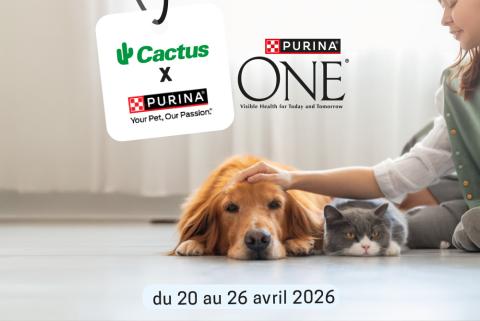 purina.jpg