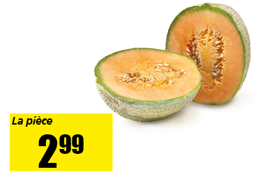 14_melon.png
