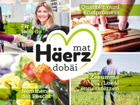 acte_222_mat_haerz_dobai_new.jpg