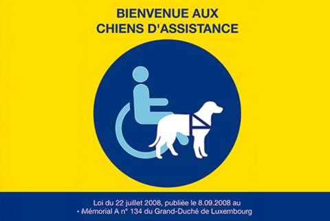 acte_68_chien_aveugle_sticker.jpg