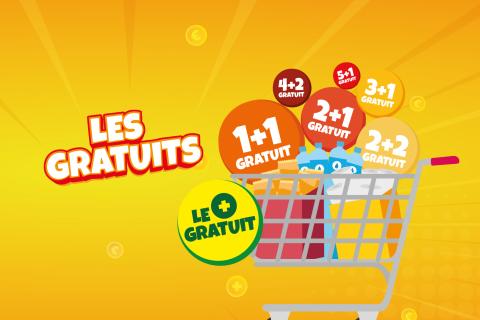 cactus_sem_9_les_gratuits_catalogues.jpg