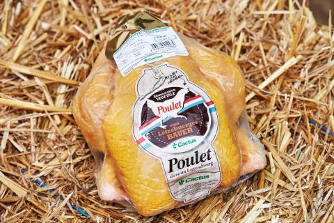 poulets_3.jpg