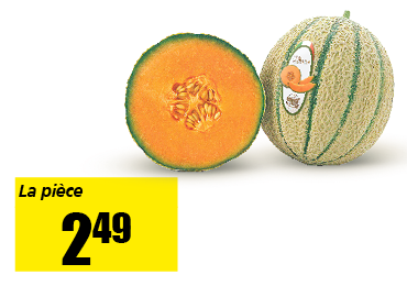 15_melon.png