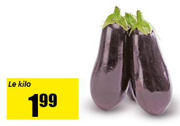 16_aubergine.png