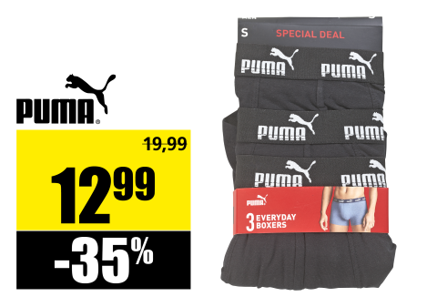 29_puma-boxer.png