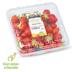 6_fraises_regionales.png