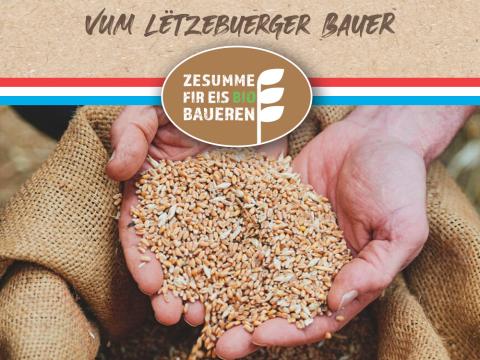 bio_baueren_cover_actualite.jpg