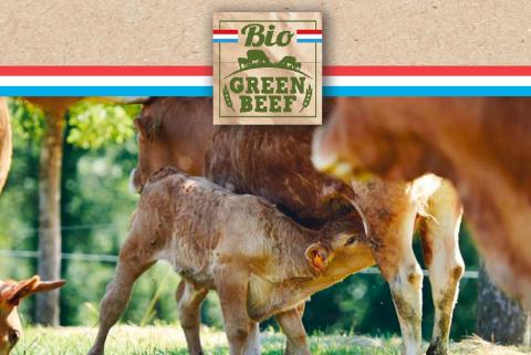 bio_green_beef_list.jpg