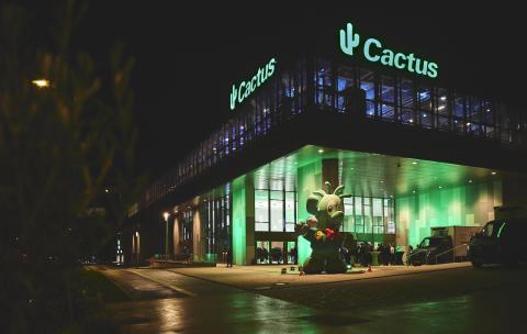 facade_cactus-4.jpg