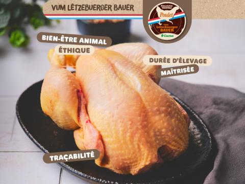 poulet.jpg