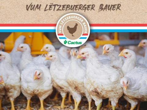 poulet_cover_actualite.jpg
