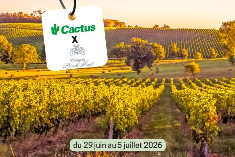 puech-haut.jpg