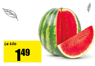 11_pasteque.png