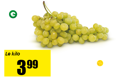 13_raisin.png