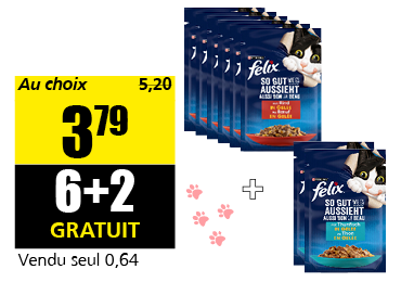 21_repas_chat.png