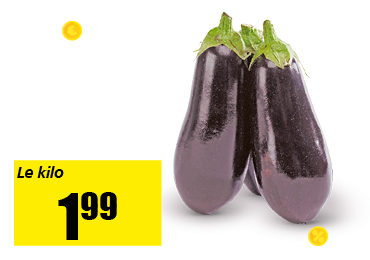 11-aubergine_.png