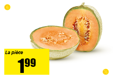 14-melon_charentais_.png