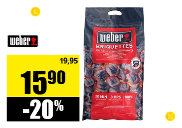 21-briquettes_.png