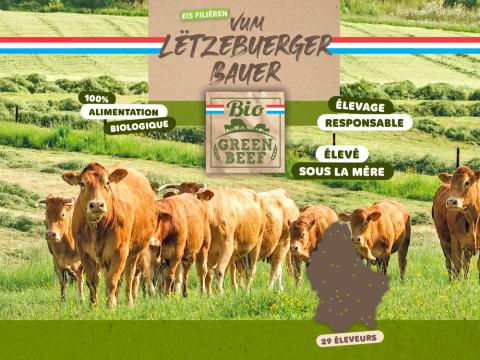 bio-green-beef.jpg