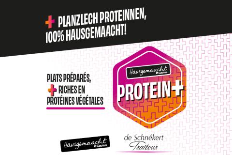 protein_plats_prepares.jpg
