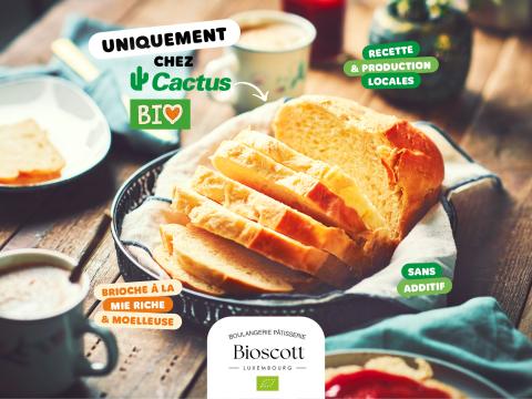 actu-brioche-bioscott.jpg