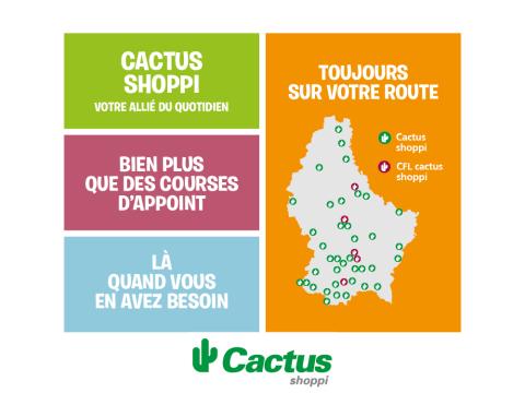 cactus_shoppi_publi_sept_1000x7501.jpg