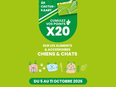 carte_chiens_chat.jpg
