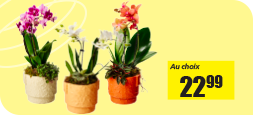 produit_hobbi2ok.png