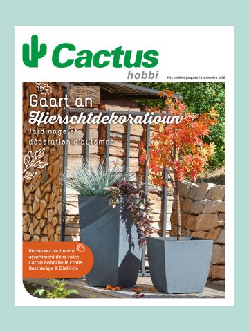 test_cover_cactus_digital_catalogue_jadin.jpg