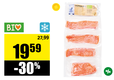 8_bio_filet_saumon.png