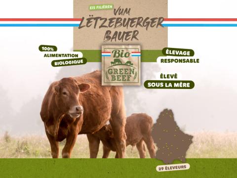 bio-green-beef.jpg