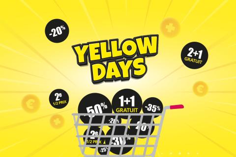 cactus_sem_43_yellow_days.jpg