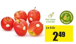 eist_produit_2.png